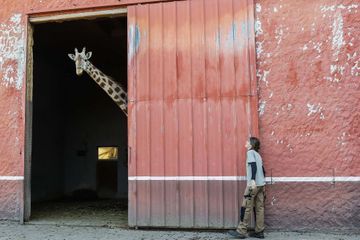 Les zoos français pourront rouvrir le 19 mai, les parcs d'attractions le 9 juin