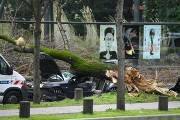 Rafales de vent : un automobiliste tué par une chute d'arbre à Paris