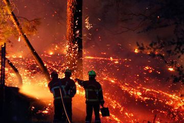 Un adolescent de 16 ans avoue avoir mis le feu délibérément à la forêt d'Anglet