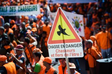 Un chasseur blessé au thorax dans 