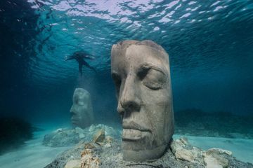 Immersion dans le nouveau musée sous-marin de Cannes, ouvert pendant la pandémie