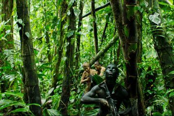 Bande-annonce : partez au fin fond de la jungle avec 