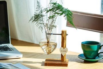 Quel type de terrarium choisir ?