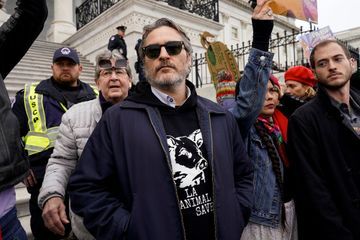 Joaquin Phoenix, la star du 