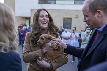 Kate et William, leur moment tendre avec un chiot