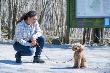 La princesse Victoria en balade dans le parc national de Garphyttan avec son cher Rio