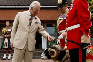 Royal Post - «Major Johnny», l'écuyer sexy du prince Charles qui affole la toile