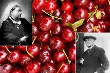 A la table des rois - Quand Auguste Escoffier créait les Cherries Jubilee pour la reine Victoria