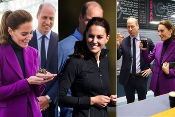 Tarentule, rugby et bière pour Kate et William en Irlande du Nord