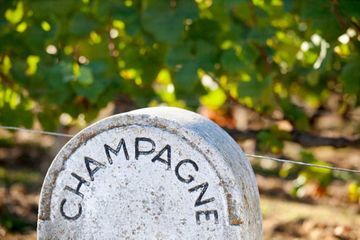 Champagne story