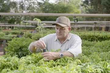 Rolex ressuscite une forêt