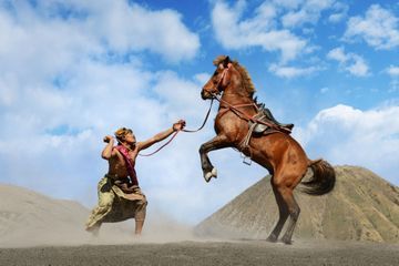 Indonésie : rencontre magique avec le peuple Tengger et ses chevaux