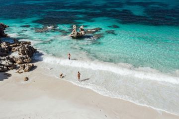 La nature sauvage retrouvée de l'île Kangourou