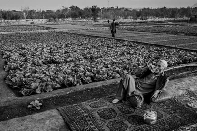 An Afghan farmer resting alongside his farm, Eastern Kabul.