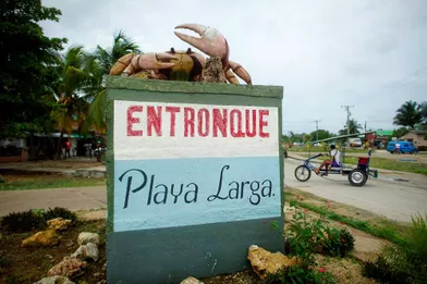 Dans laBaie des Cochons à Cuba, des milliers de crabes arpentent les routes pour aller déposer leurs oeufs dans l'océan.