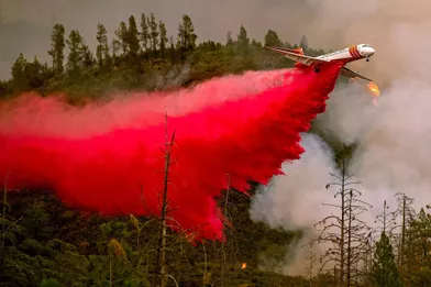 Plus de 3.000 pompiers sont mobilisés pour lutter contre les flammes qui rongent notamment la forêt nationale de Stanislaus et menacent également le parc national de Yosemite.