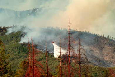 Plus de 3.000 pompiers sont mobilisés pour lutter contre les flammes qui rongent notamment la forêt nationale de Stanislaus et menacent également le parc national de Yosemite.