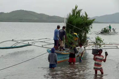 L’arrivée des premières plantes en 2013 en banka, la barque traditionnelle.