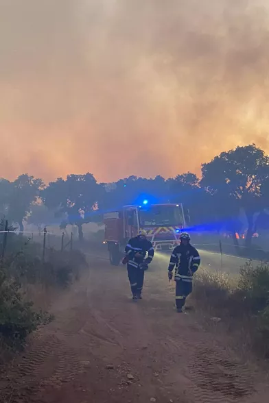 https://resize-parismatch.lanmedia.fr/f/webp/r/392/img/var/news/storage/images/paris-match/actu/environnement/le-var-lutte-toujours-contre-un-violent-feu-de-foret-des-centaines-de-pompiers-mobilises-1753432/2021-08-17t093140z-1500241757-rc2x6p9dbe0f-rtrmadp-3-climate-wildfires-france/28863246-1-fre-FR/2021-08-17T093140Z-1500241757-RC2X6P9DBE0F-RTRMADP-3-CLIMATE-WILDFIRES-FRANCE.jpg