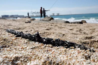 Sur 190 kilomètres de plages en Israël, 170 kilomètres ont été touchés par une marée noire. Des opérations de nettoyage sont en cours bien que l'épisode de pollution ne soit pas encore maîtrisé.