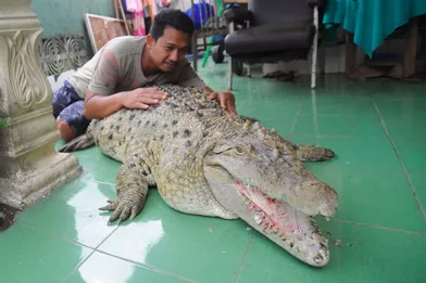 Cette Famille Vit Avec Un Crocodile Comme Animal De Compagnie