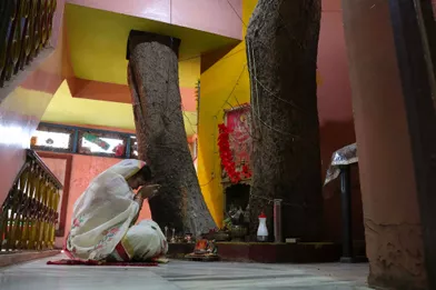 Le figuier, appelé &quot;pipal&quot; en hindi, est considéré comme sacré enInde. En couper un est perçu comme de mauvais augure. Alors, une famille a décidé d'agrandir sarésidence de trois étages de la ville de Jabalpur autour d'un arbre.