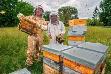 A Pontenx-les-Forges, avec l’apiculteur Thomas Mollet, partenaire de la Seraf, la Société d’élevage et de repeuplement des abeilles de France créée en janvier 2018 par Arnaud Montebourg.