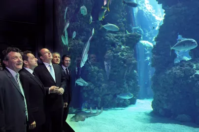 Le prince Albert II faisant visiter l'aquarium du Musée océanographique de Monaco à Nicolas Sarkozy accompagné de Jean-Louis Borloo, Hubert Falco et Christian Estrosi en 2008.