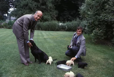 Valéry Giscard d'Estaing avec son chien et des petit chiots dans le parc de l'Elysée en 1981.