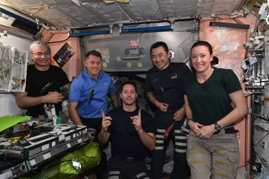 Les premiers piments qui ont poussé dans l'ISS.