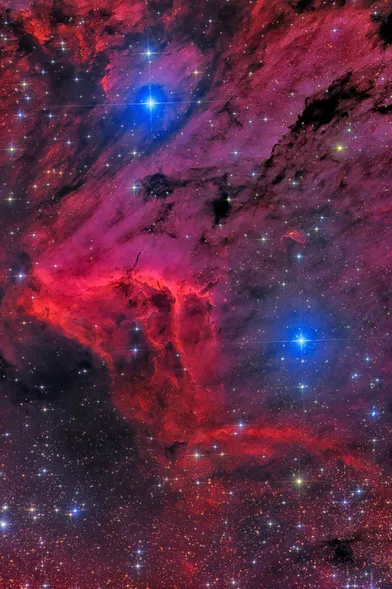 1er mars.La Nasa présente la Nébuleuse du Pélican, située à environ 2 000 années-lumière de la Terre dans la constellation du Cygne. Image colorée en bleu et rouge.