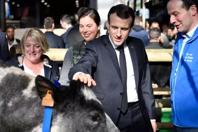 Au salon de l'Agriculture, Macron renoue avec le bain de foule et promet de "ne rien lâcher"