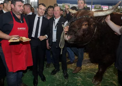 Au salon de l'Agriculture, Macron renoue avec le bain de foule et promet de "ne rien lâcher"