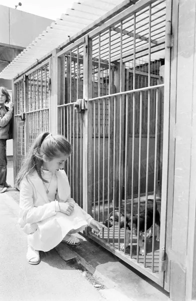 «Anne a eu un coup de coeur pour ce chiot de trois mois, perdu dans sa grande cage.»(Paris Match n°1625, 18 juillet 1980)