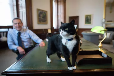 Non, le chat du secrétaire d’Etat n’est pas un espion