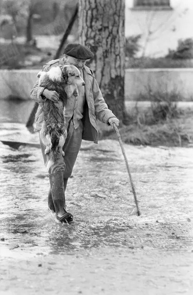 « Sur la route encore inondée, il i porte son sauveur qui maintenant a peur de l'eau. Bobby était un chien errant. Cest la GrOupUle qui lui donna son premier collier, le collier du sauvetage.» - Paris Match n°558, 19 décembre 1959. 