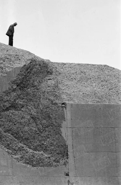 « Cet homme seul, sur les ruines du barrage, qui s'éponge le visage, c'est l'architecte, M. André Coyne. Le soir de la catastrophe, il a pris le train pour Fréjus.» - Paris Match n°558, 19 décembre 1959.