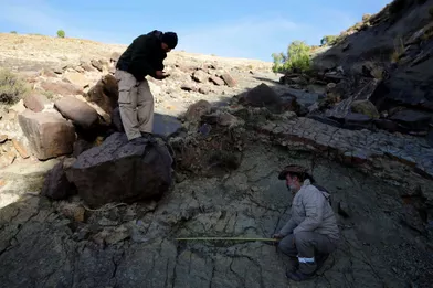 "C’est la plus grosse empreinte de dinosaure jamais découverte"