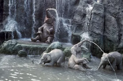 « La jungle : le bain des faux éléphants. » - Paris Match n°1174, 6 novembre 1971