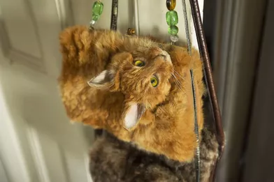 Elle Transforme Un Chat En Sac A Main Et Le Vend 370 Euros