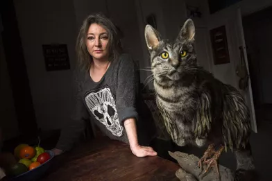 Elle Transforme Un Chat En Sac A Main Et Le Vend 370 Euros