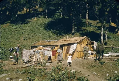 Dans le Caucase géorgien, des baraques de planches pour les montagnards et les estivants venus des villes.