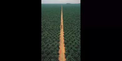 Une route brute en terre battue dans ce splendide paysage congolais. (voir l’épingle)Suivez nous sur Pinterest!