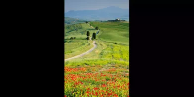 Située en Toscane, en Italie, cette route bucolique semble mener droit au paradis. (voir l’épingle)Suivez nous sur Pinterest!