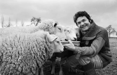 &quot;Les trois sujets de fierté de Pierre : ses moutons, son billard français et son « zinc » authentique.&quot; - Paris Match n°1555, 13 mars 1979