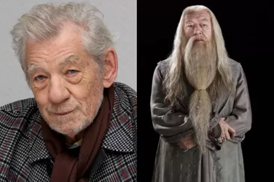 Ian McKellen aurait pu jouer le rôle d'Albus Dumbledore.