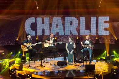Les artistes mobilisés au concert de soutien à Charlie Hebdo