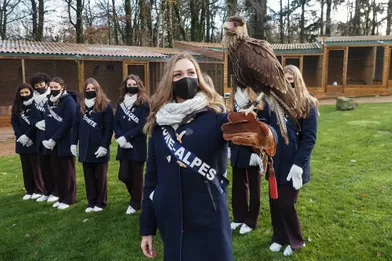 Des Miss et des rapaces