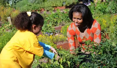 Michelle Obama participe à la récolte du potager bio de la Maison Blanche, avec des élèves de primaire en visite scolaire.
