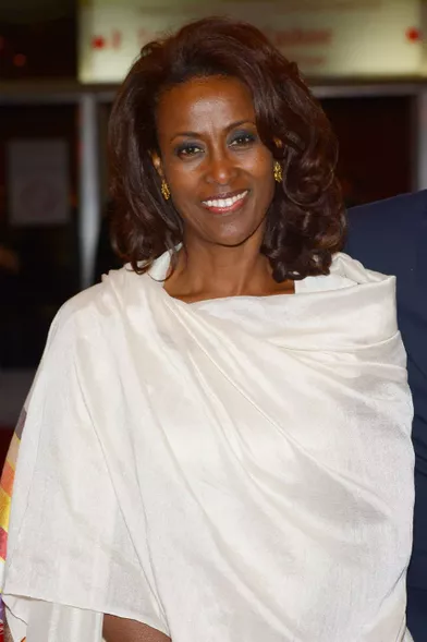 En Ethiopie, Meaza Ashenafi (55 ans) combat les violences domestiques et sexuelles faites aux femmes. Elle ambitionne d’assurer aux femmes une meilleure place dans la société.